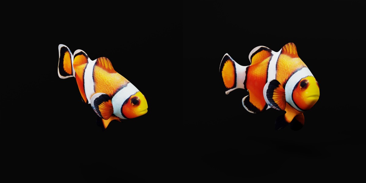 Clownfish Nemo Low-poly 3D model_23