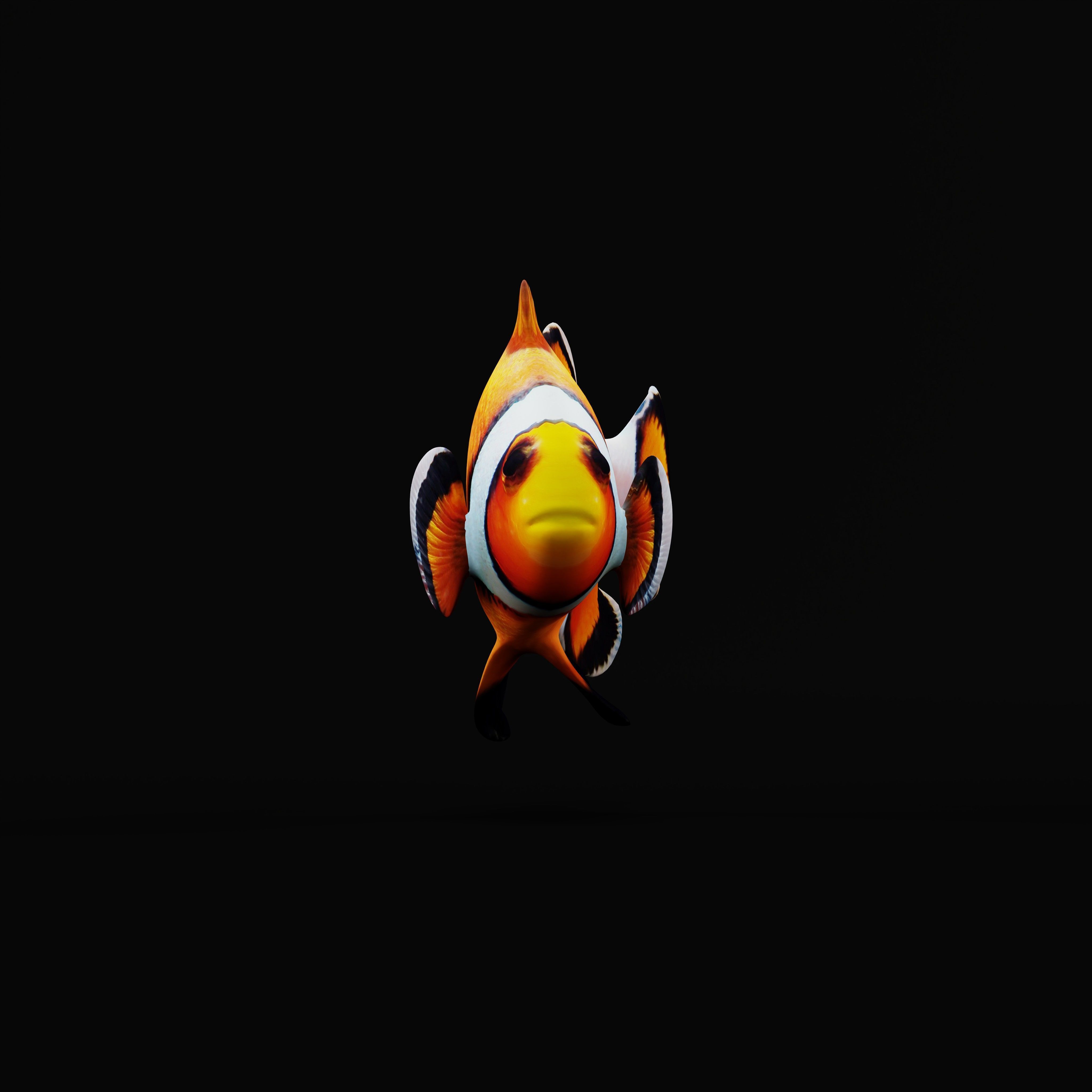 Clownfish Nemo Low-poly 3D model_27