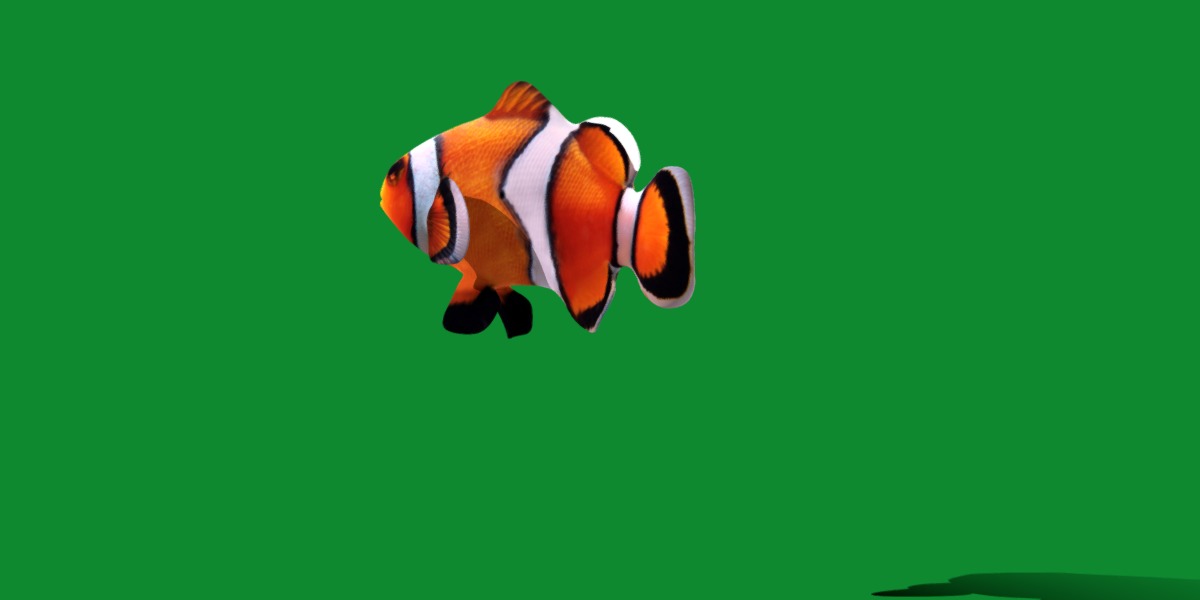 Clownfish Nemo Low-poly 3D model_3