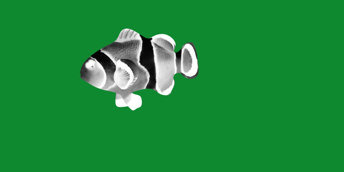 Clownfish Nemo Low-poly 3D model_21
