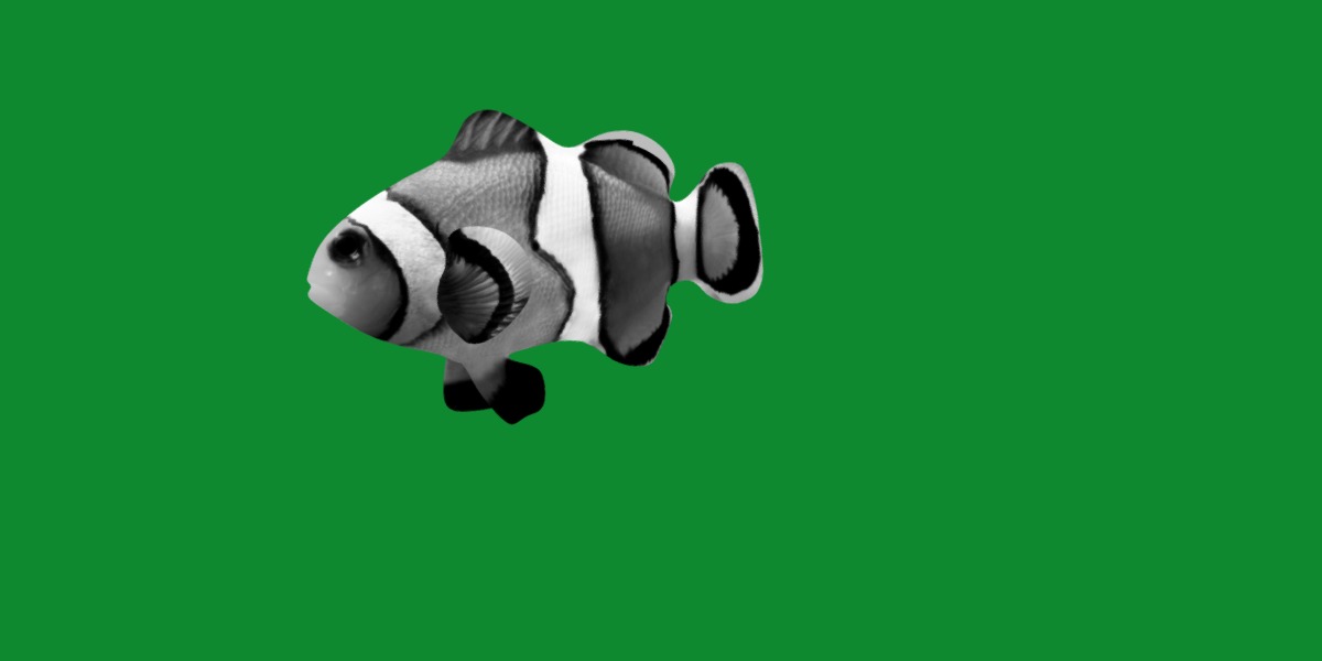 Clownfish Nemo Low-poly 3D model_4