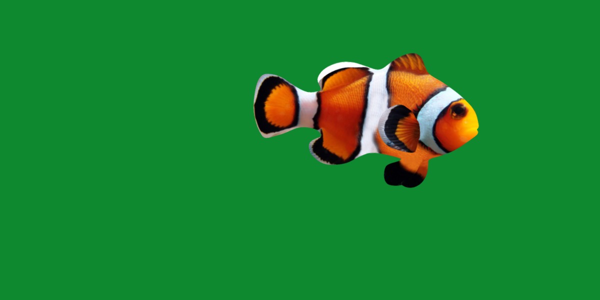 Clownfish Nemo Low-poly 3D model_18