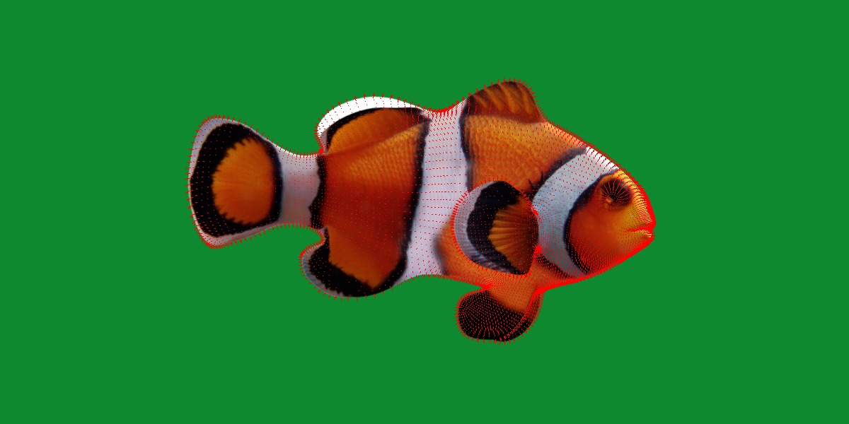Clownfish Nemo Low-poly 3D model_9