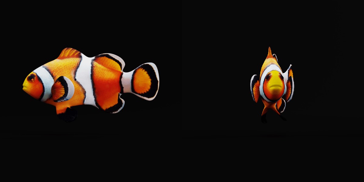 Clownfish Nemo Low-poly 3D model_25