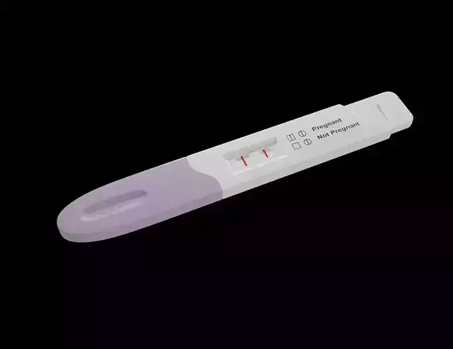Pregnancy Test Kit