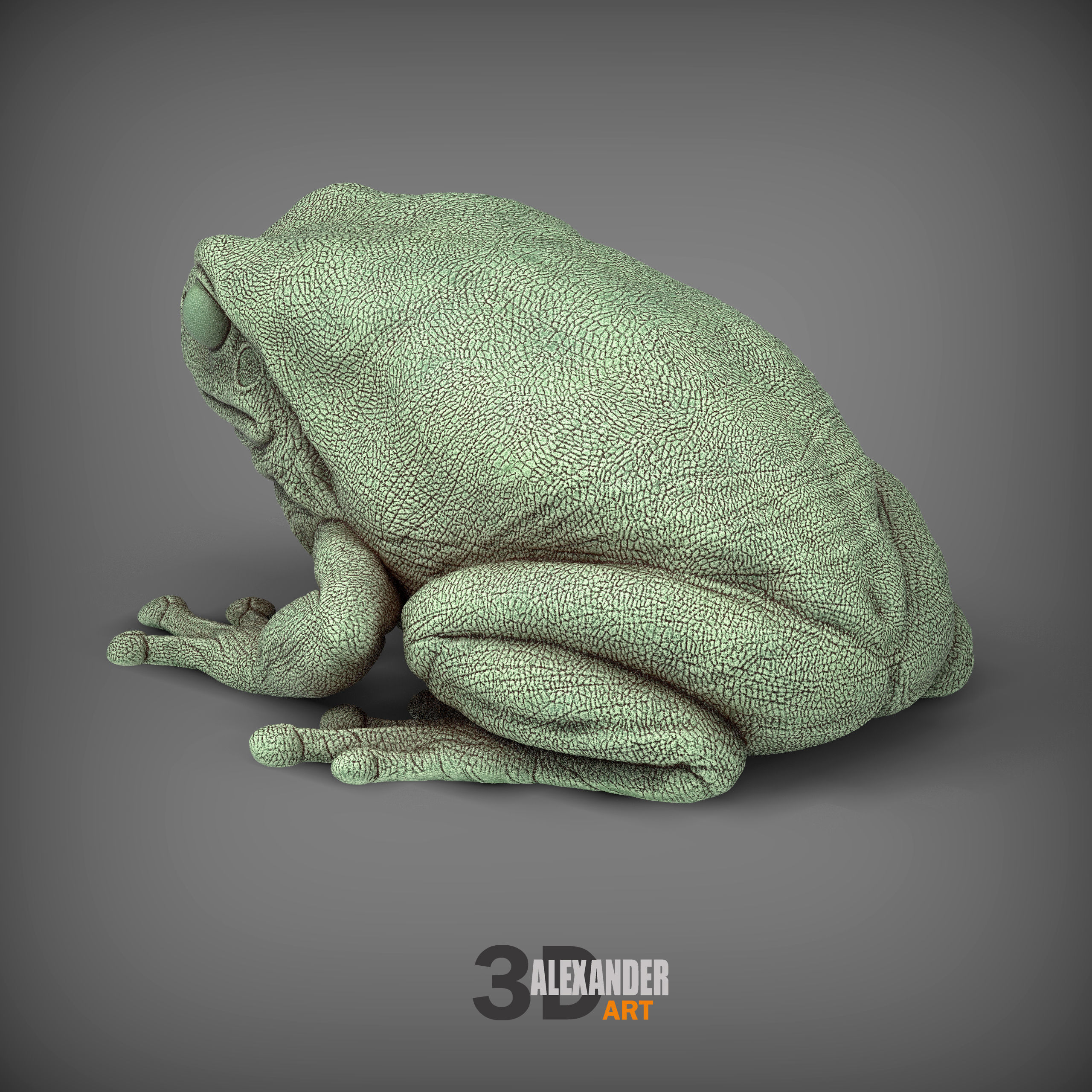 Australian green tree frog 3D print model_3
