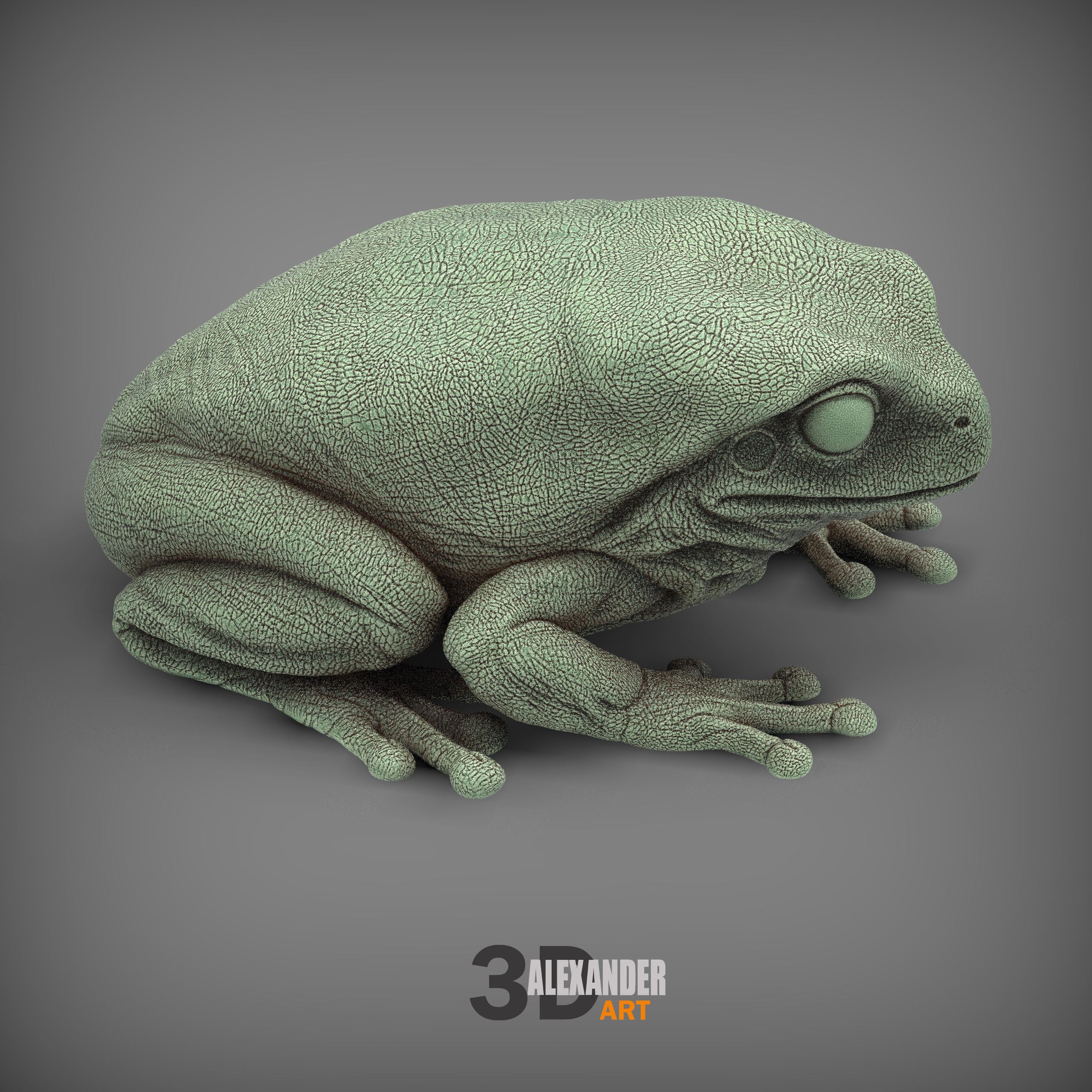 Australian green tree frog 3D print model_2