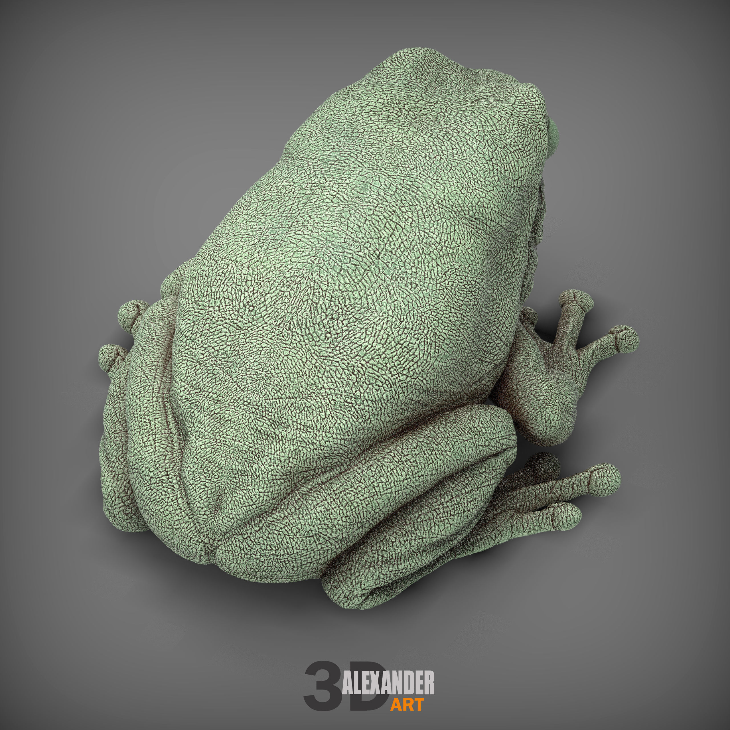 Australian green tree frog 3D print model_4