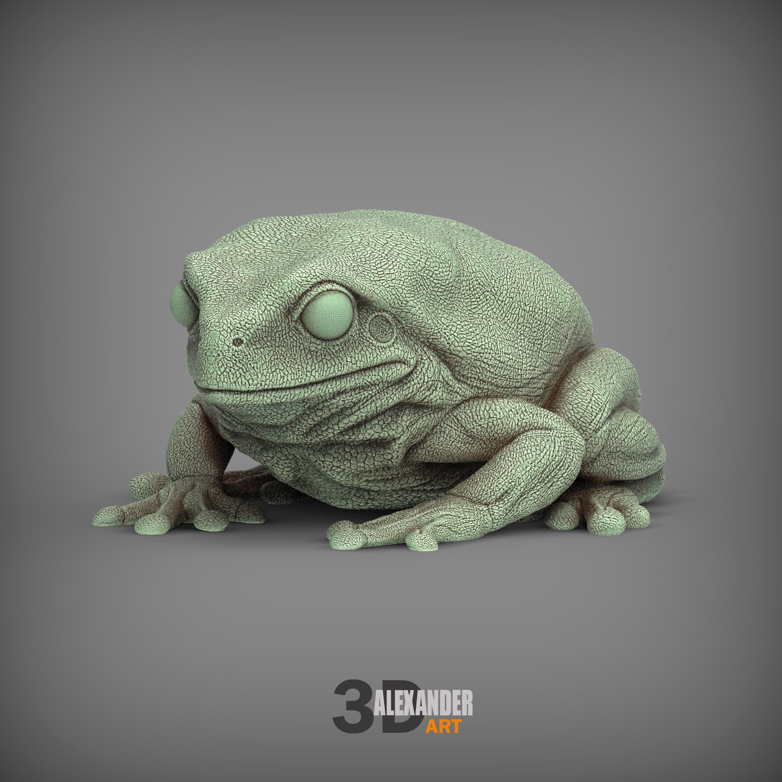 Australian green tree frog 3D print model_1