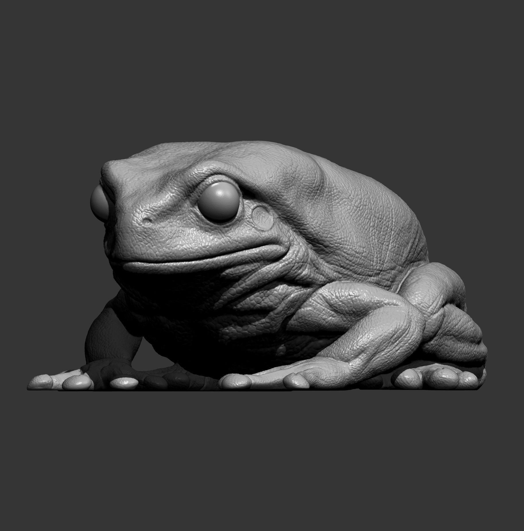 Australian green tree frog 3D print model_9
