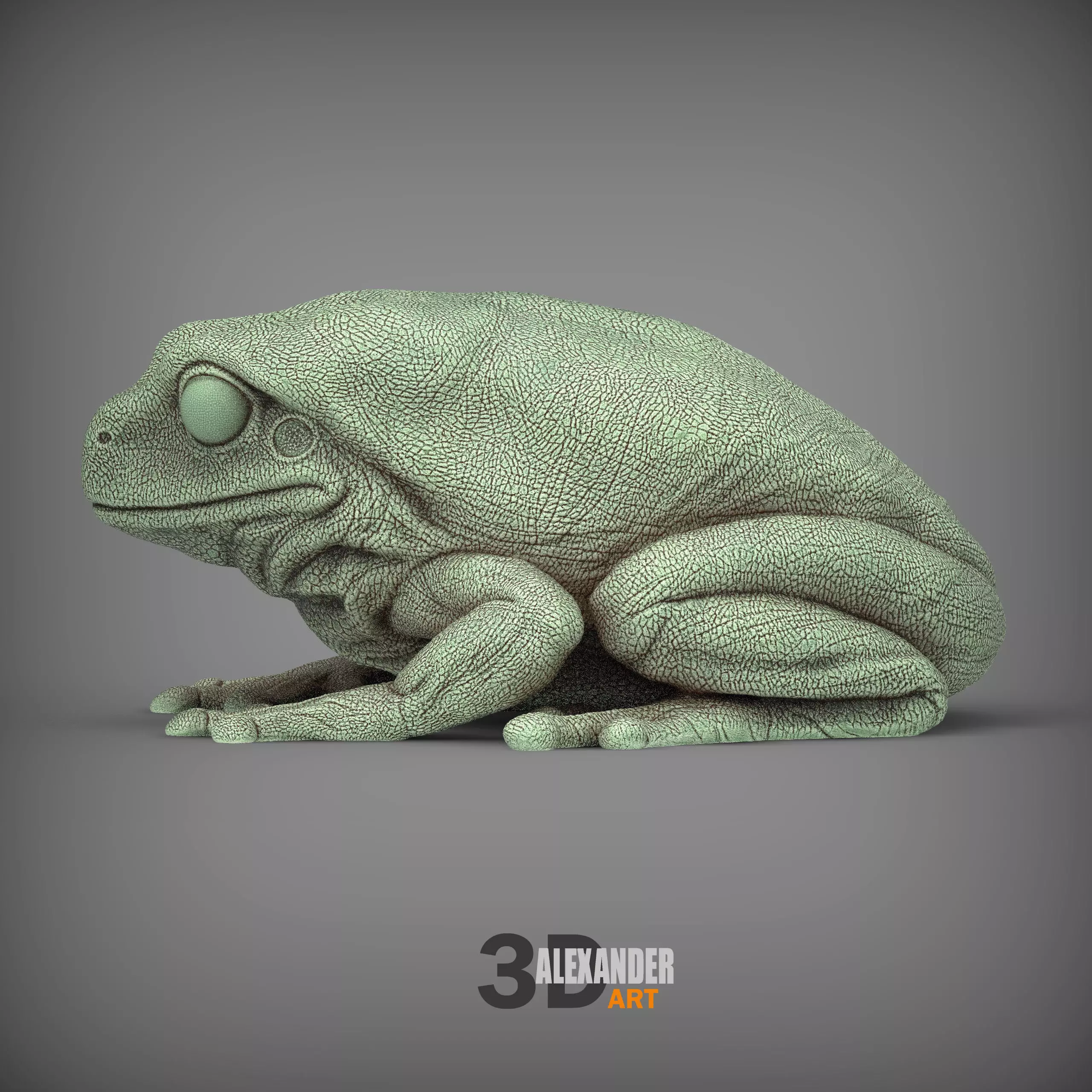 Australian green tree frog 3D print model_0