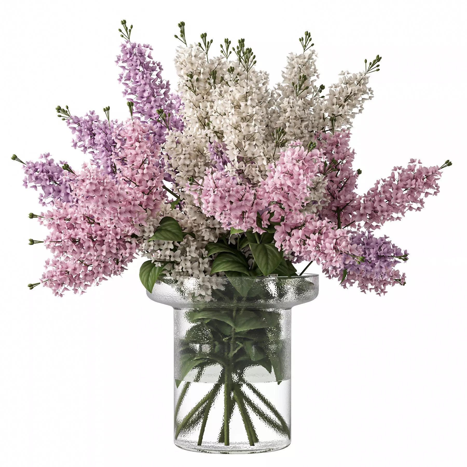 Bouquets 24 lilacs 3D model