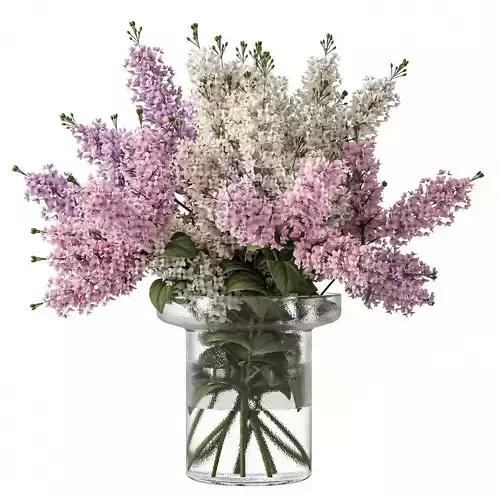 Bouquets 24 lilacs