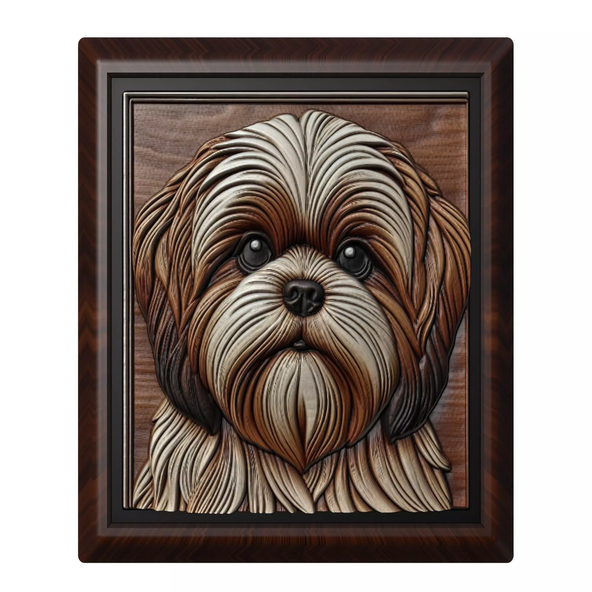 Dog Shih Tzu Animal 3D print model_0