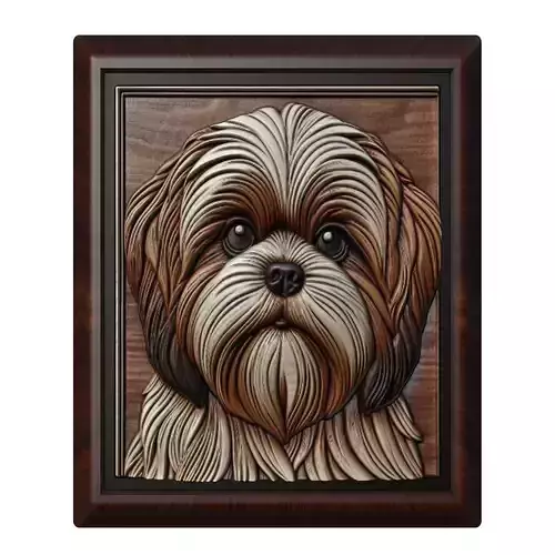 Dog Shih Tzu Animal