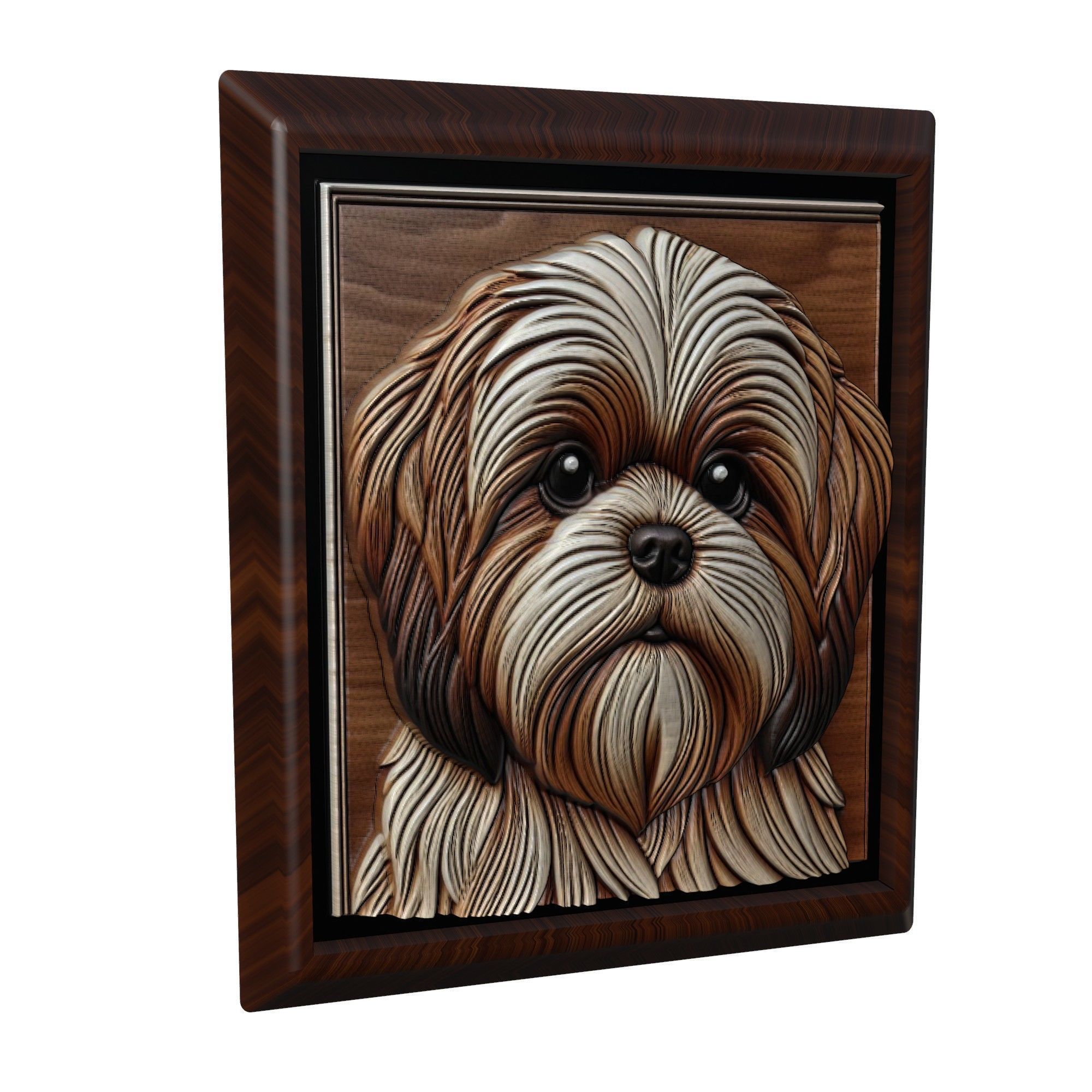 Dog Shih Tzu Animal 3D print model_1