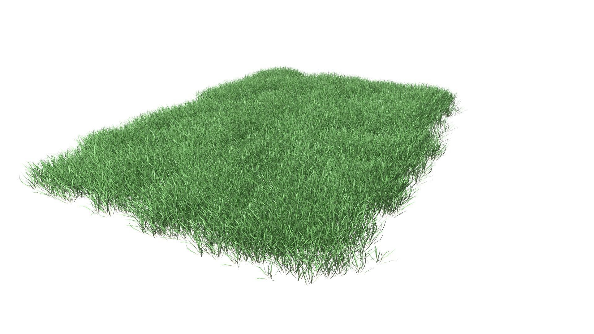 Lawn Grass Model for Exteriors 3D 3D model_45