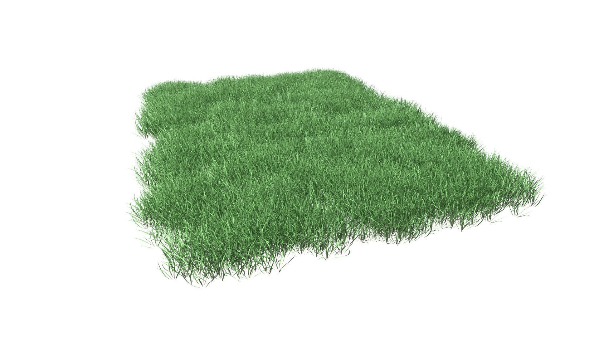 Lawn Grass Model for Exteriors 3D 3D model_93
