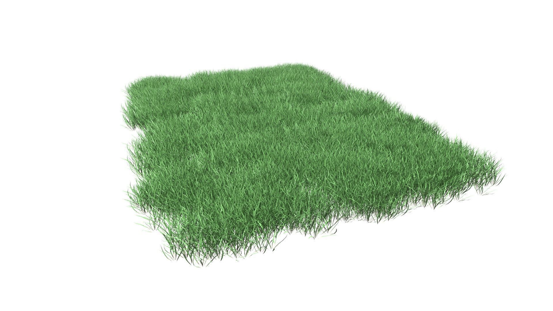 Lawn Grass Model for Exteriors 3D 3D model_95