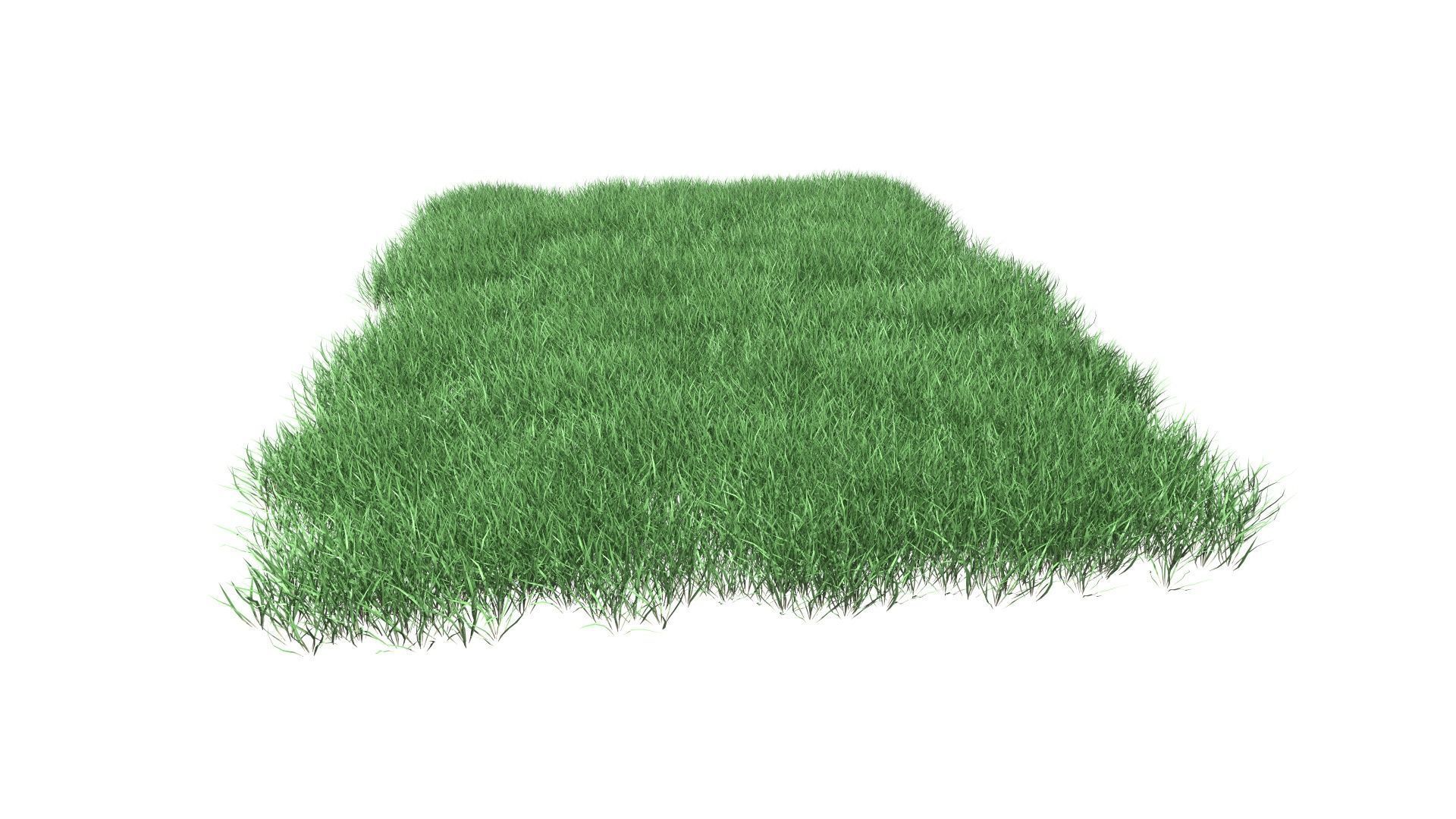 Lawn Grass Model for Exteriors 3D 3D model_83