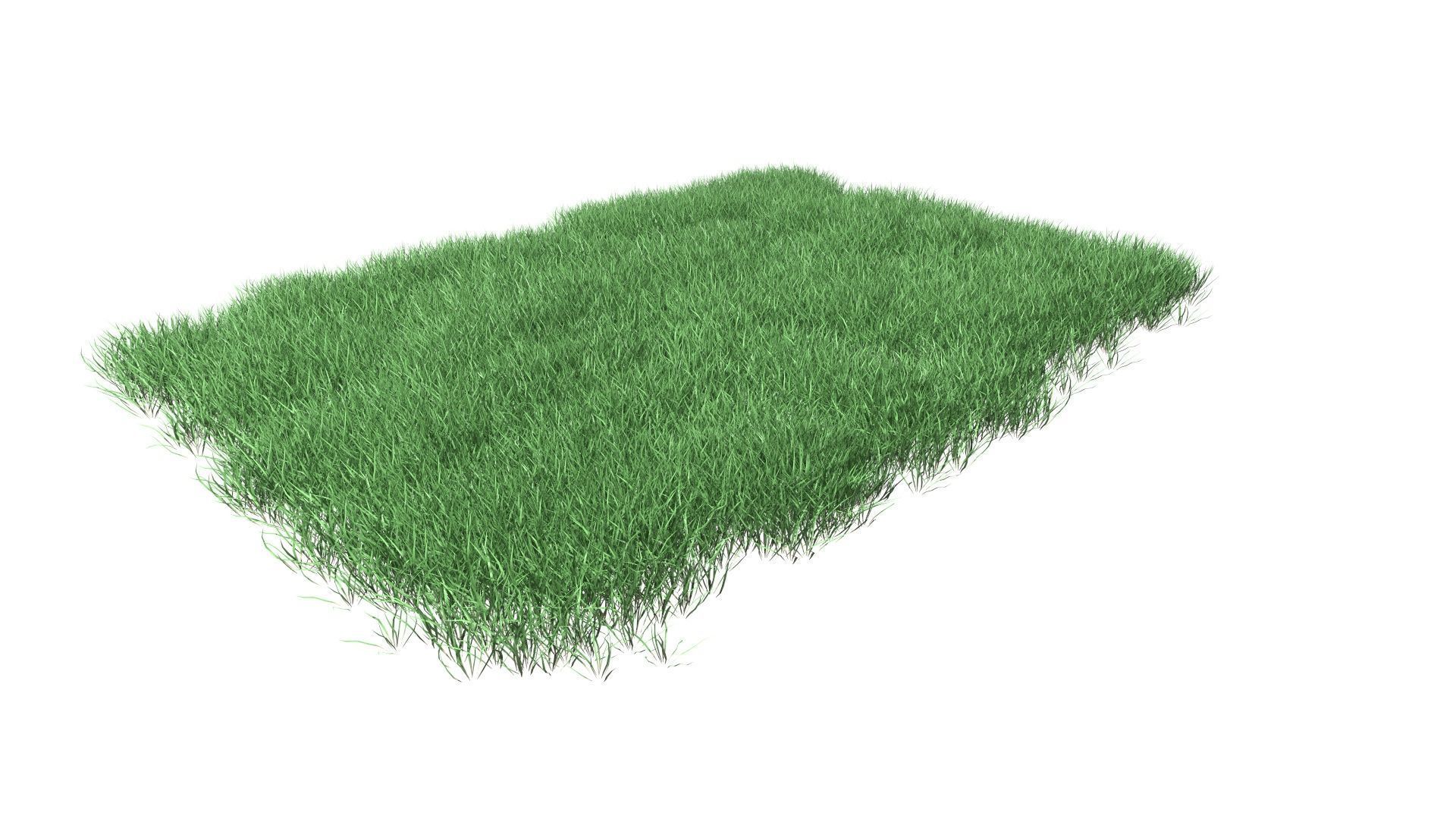 Lawn Grass Model for Exteriors 3D 3D model_31