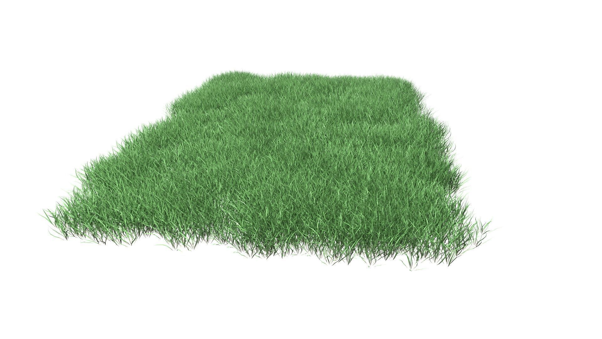 Lawn Grass Model for Exteriors 3D 3D model_62