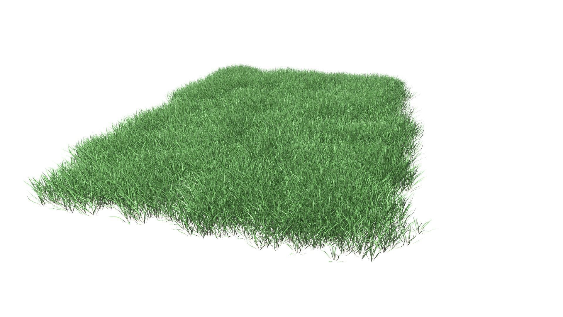 Lawn Grass Model for Exteriors 3D 3D model_55