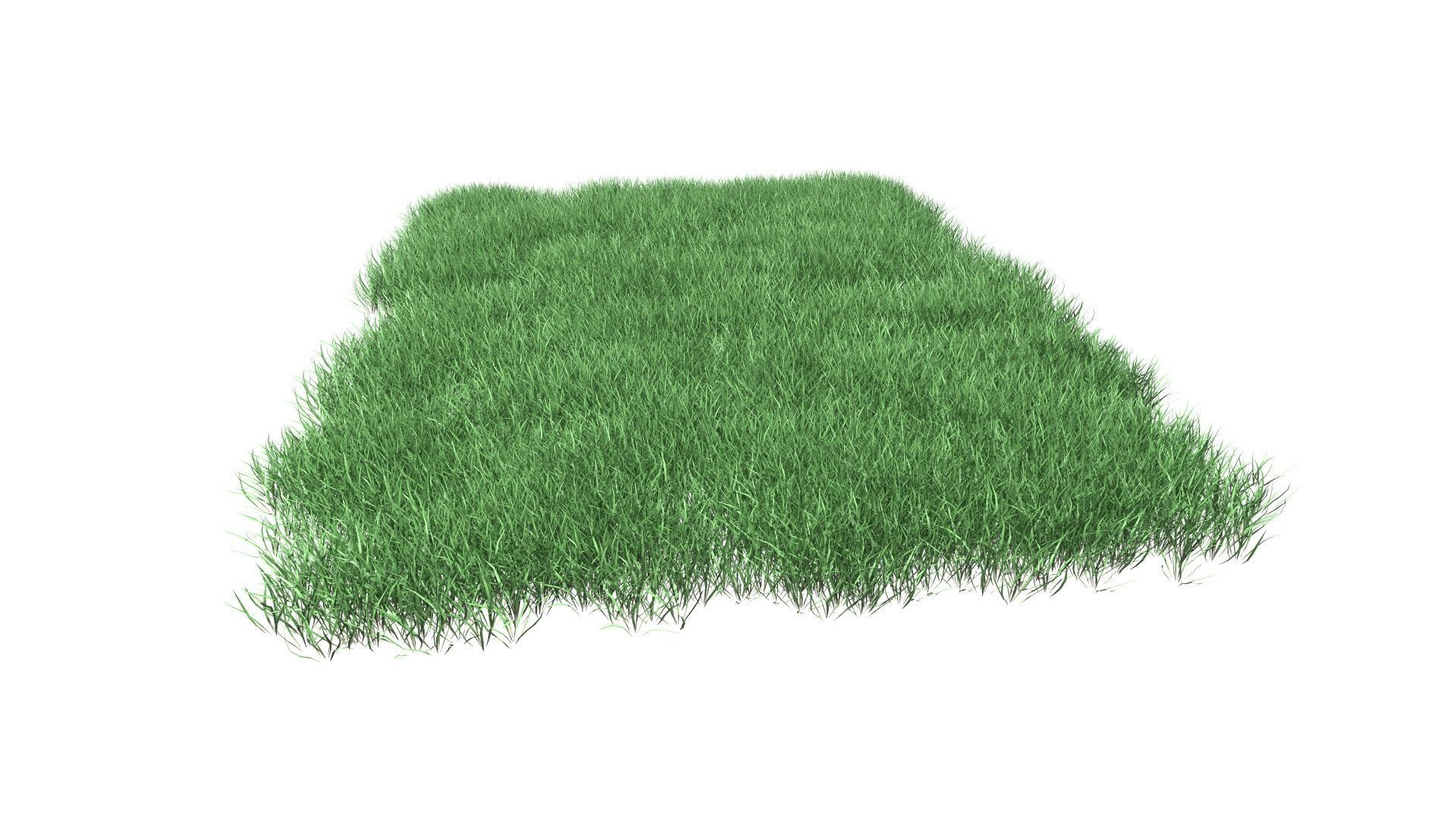 Lawn Grass Model for Exteriors 3D 3D model_84