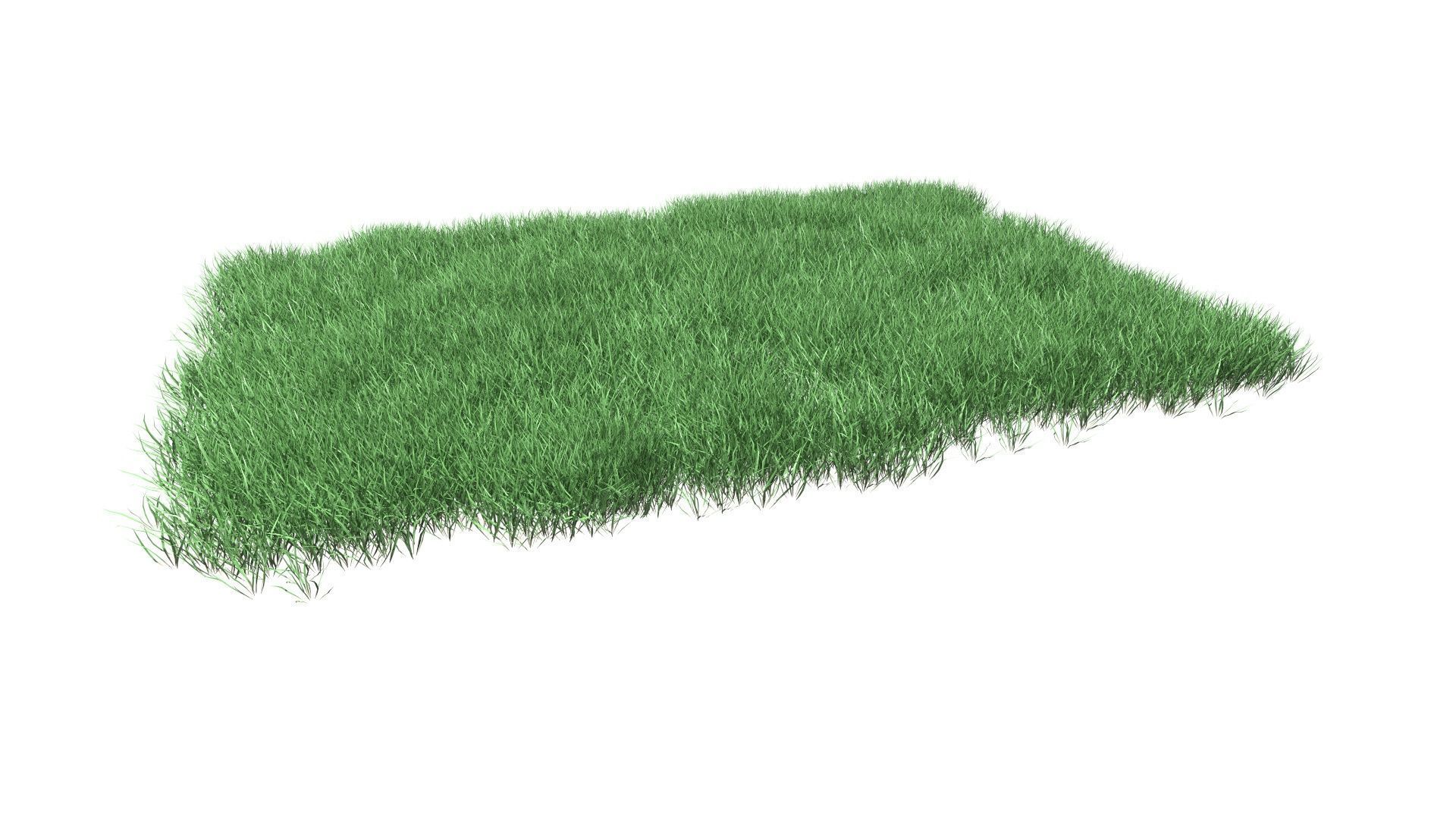 Lawn Grass Model for Exteriors 3D 3D model_10