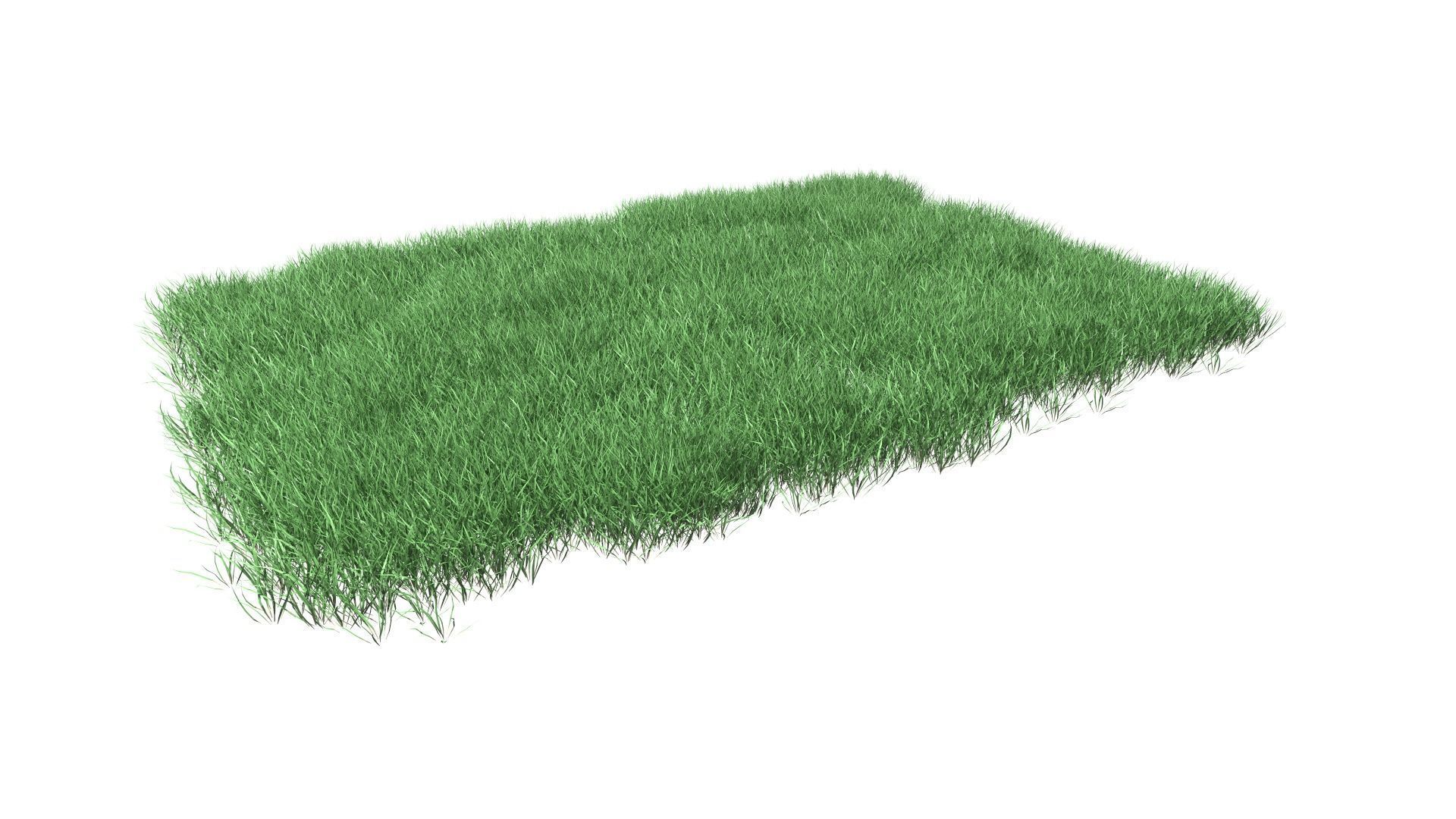 Lawn Grass Model for Exteriors 3D 3D model_19