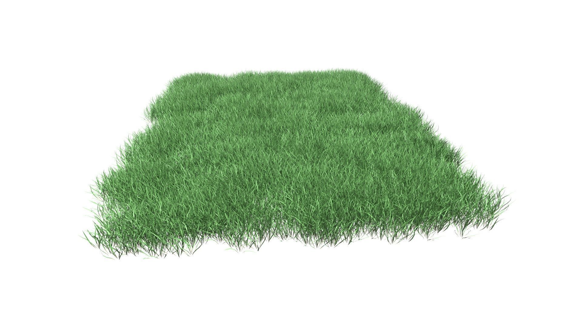 Lawn Grass Model for Exteriors 3D 3D model_82
