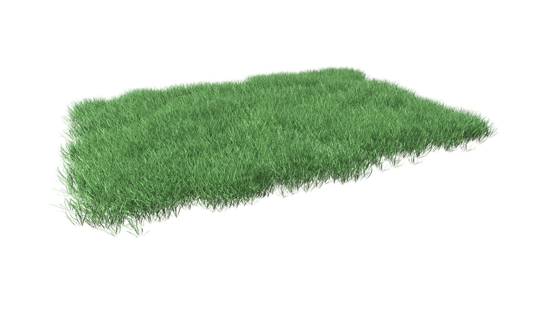 Lawn Grass Model for Exteriors 3D 3D model_14