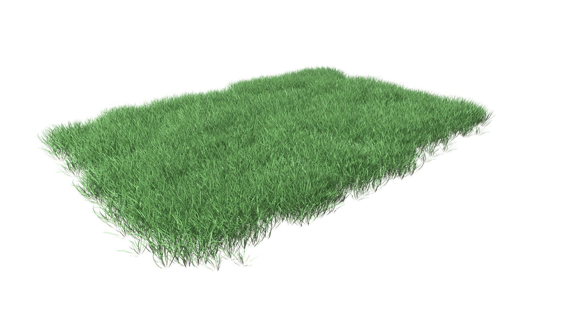 Lawn Grass Model for Exteriors 3D 3D model_28