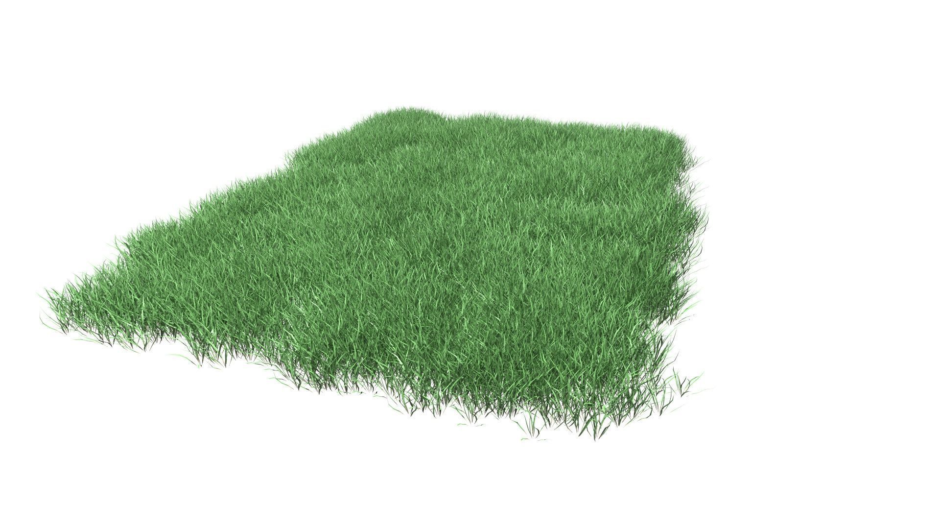 Lawn Grass Model for Exteriors 3D 3D model_53