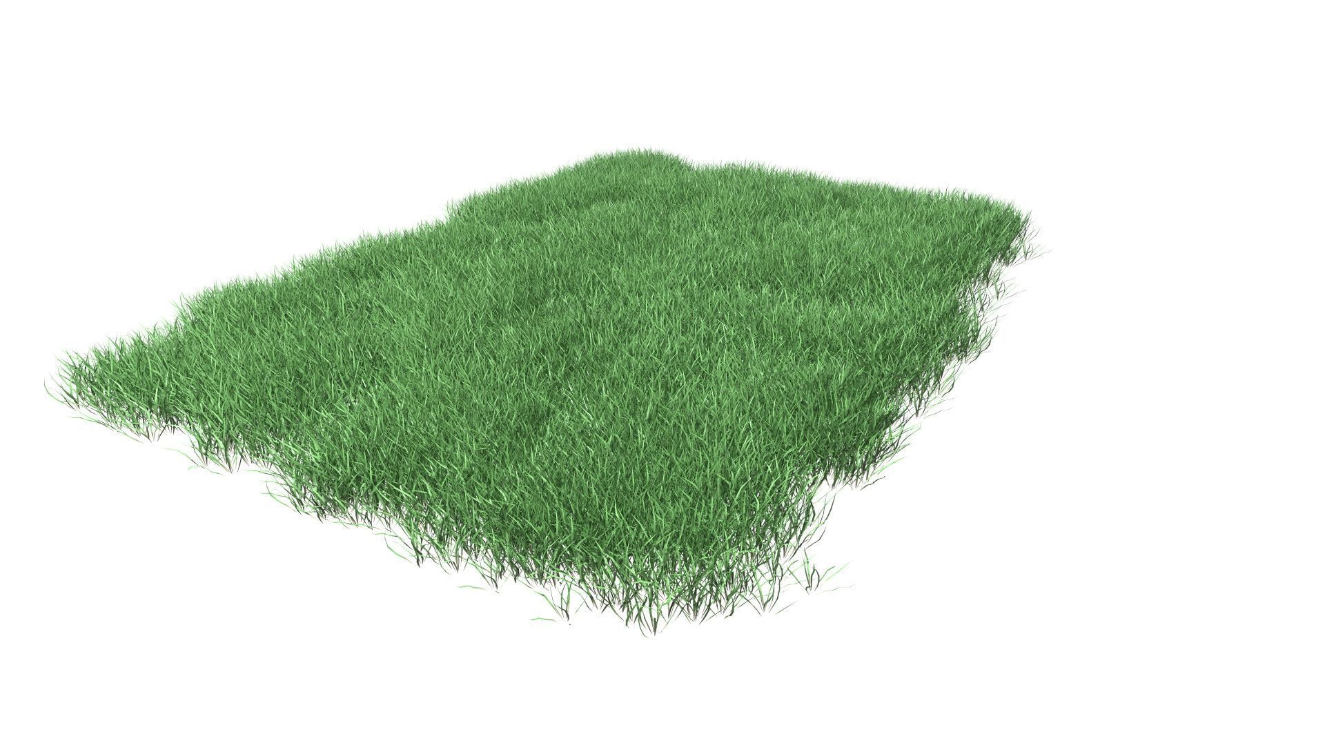 Lawn Grass Model for Exteriors 3D 3D model_43
