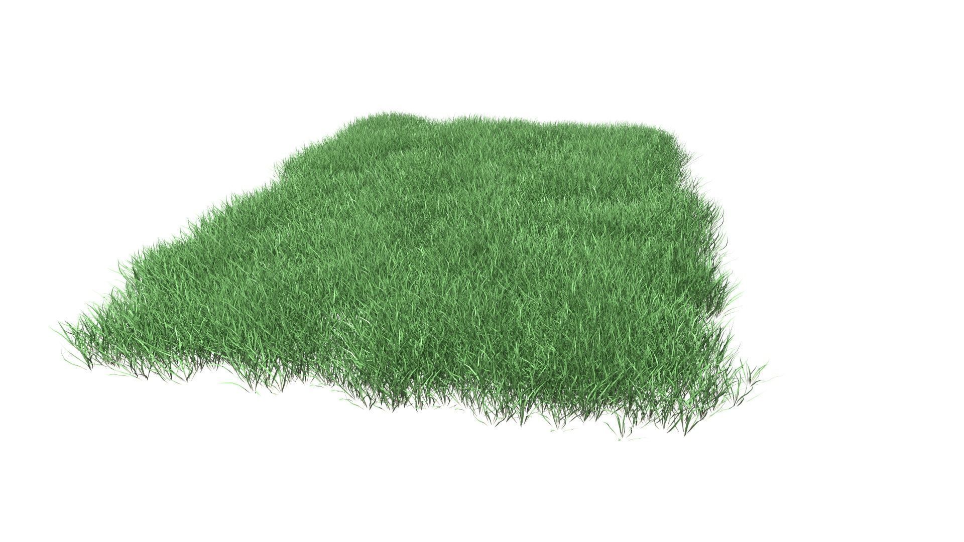 Lawn Grass Model for Exteriors 3D 3D model_59