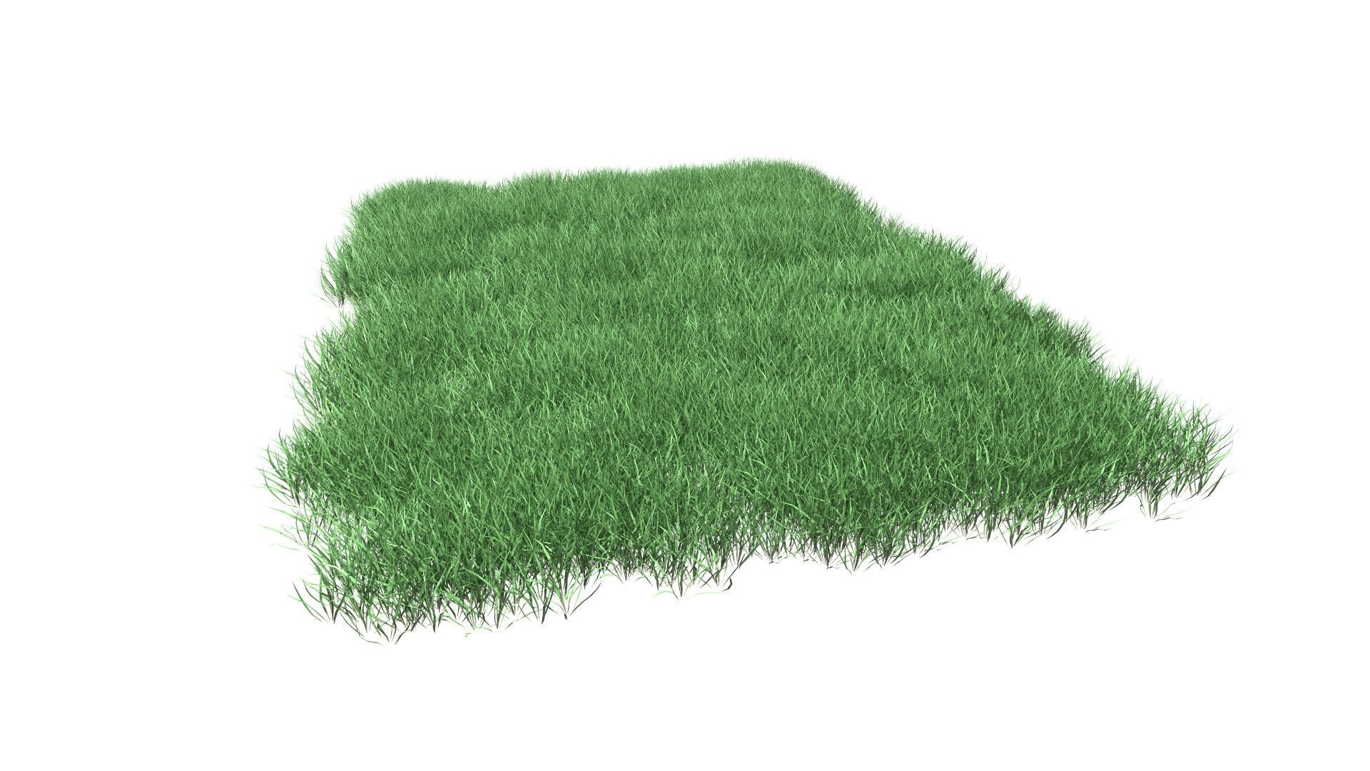 Lawn Grass Model for Exteriors 3D 3D model_89
