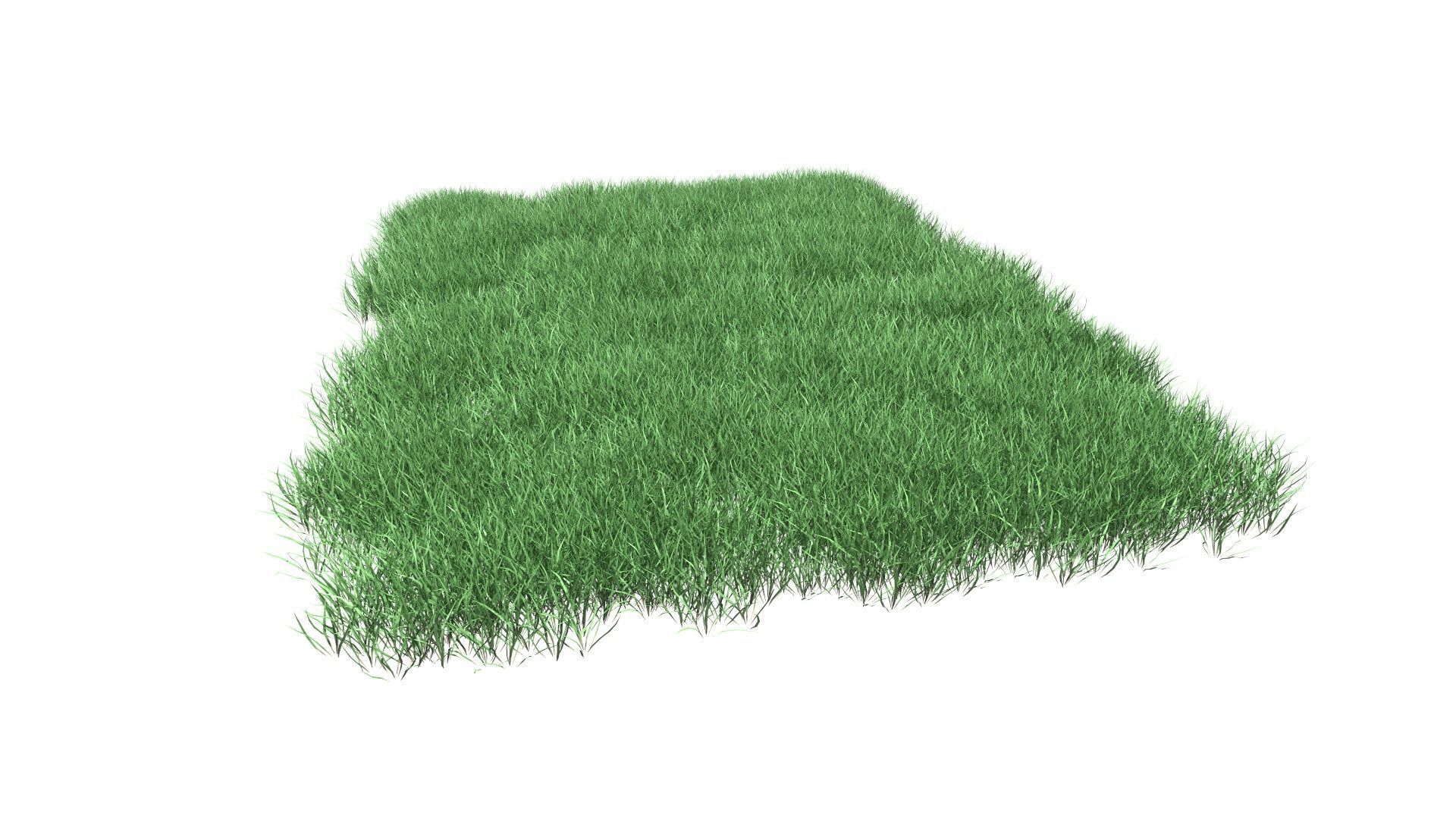 Lawn Grass Model for Exteriors 3D 3D model_88