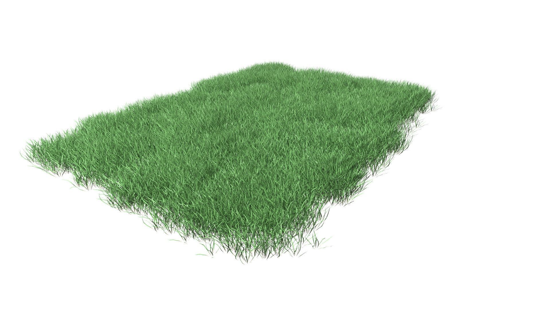 Lawn Grass Model for Exteriors 3D 3D model_40