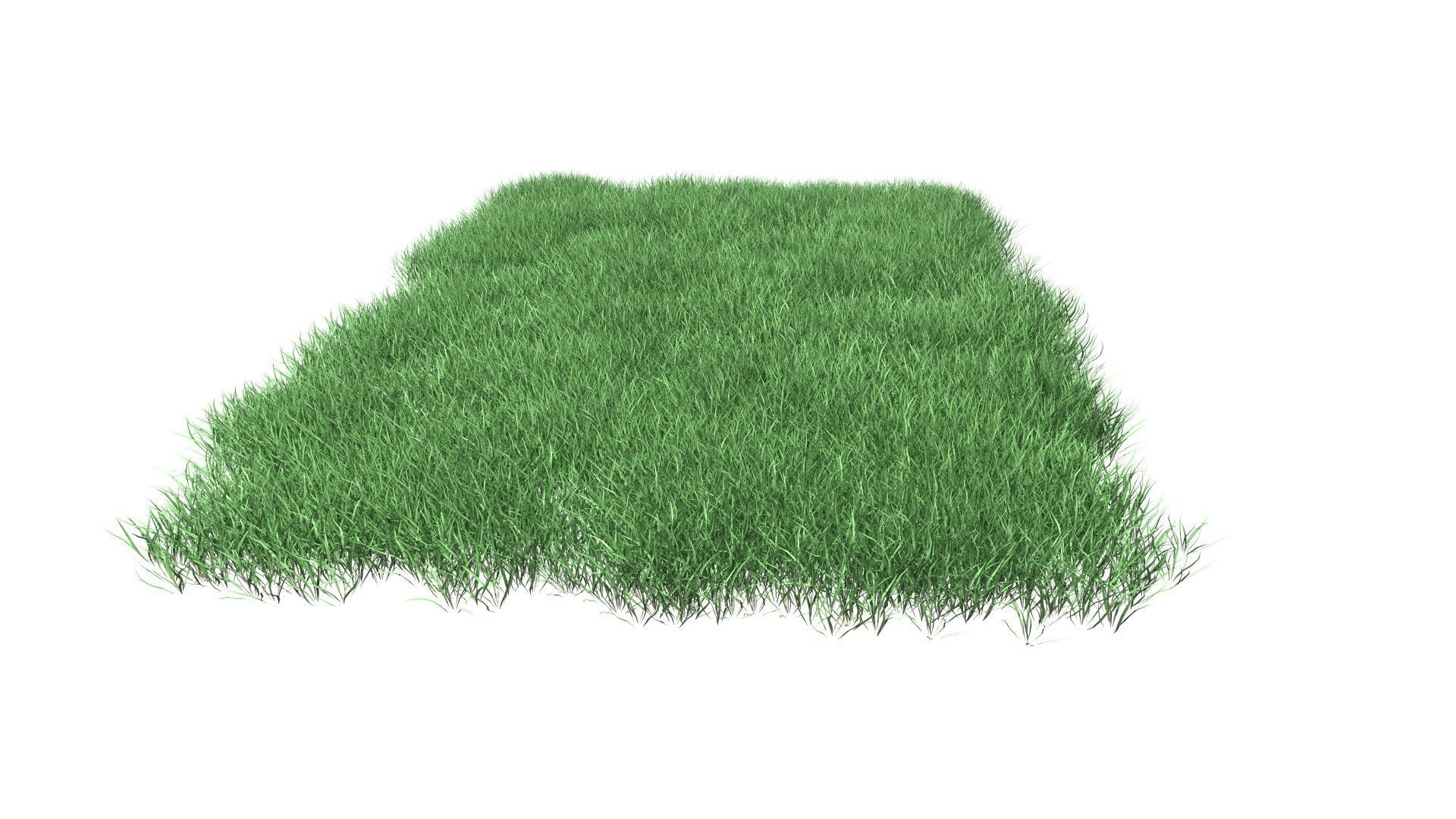 Lawn Grass Model for Exteriors 3D 3D model_66