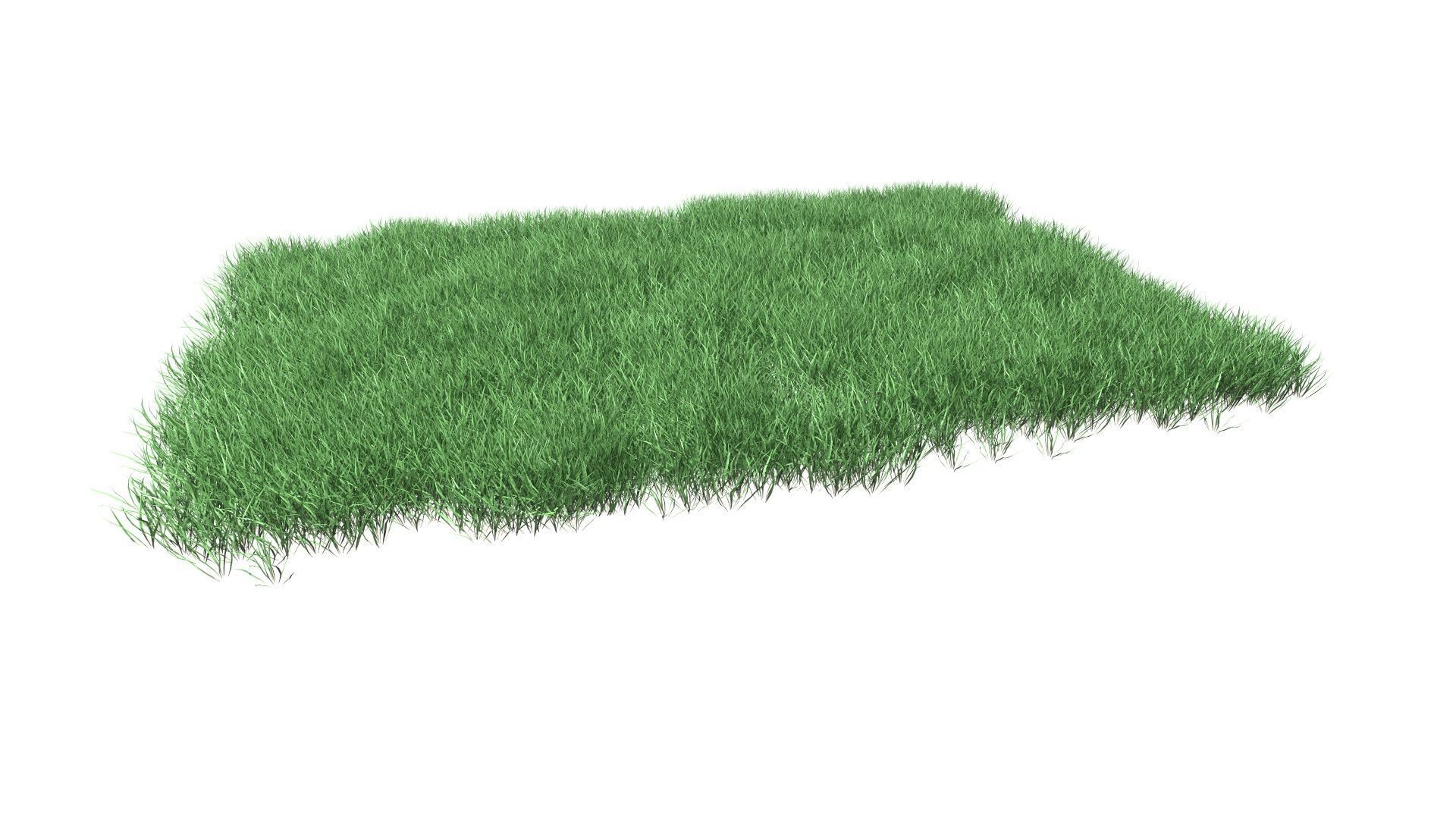 Lawn Grass Model for Exteriors 3D 3D model_7