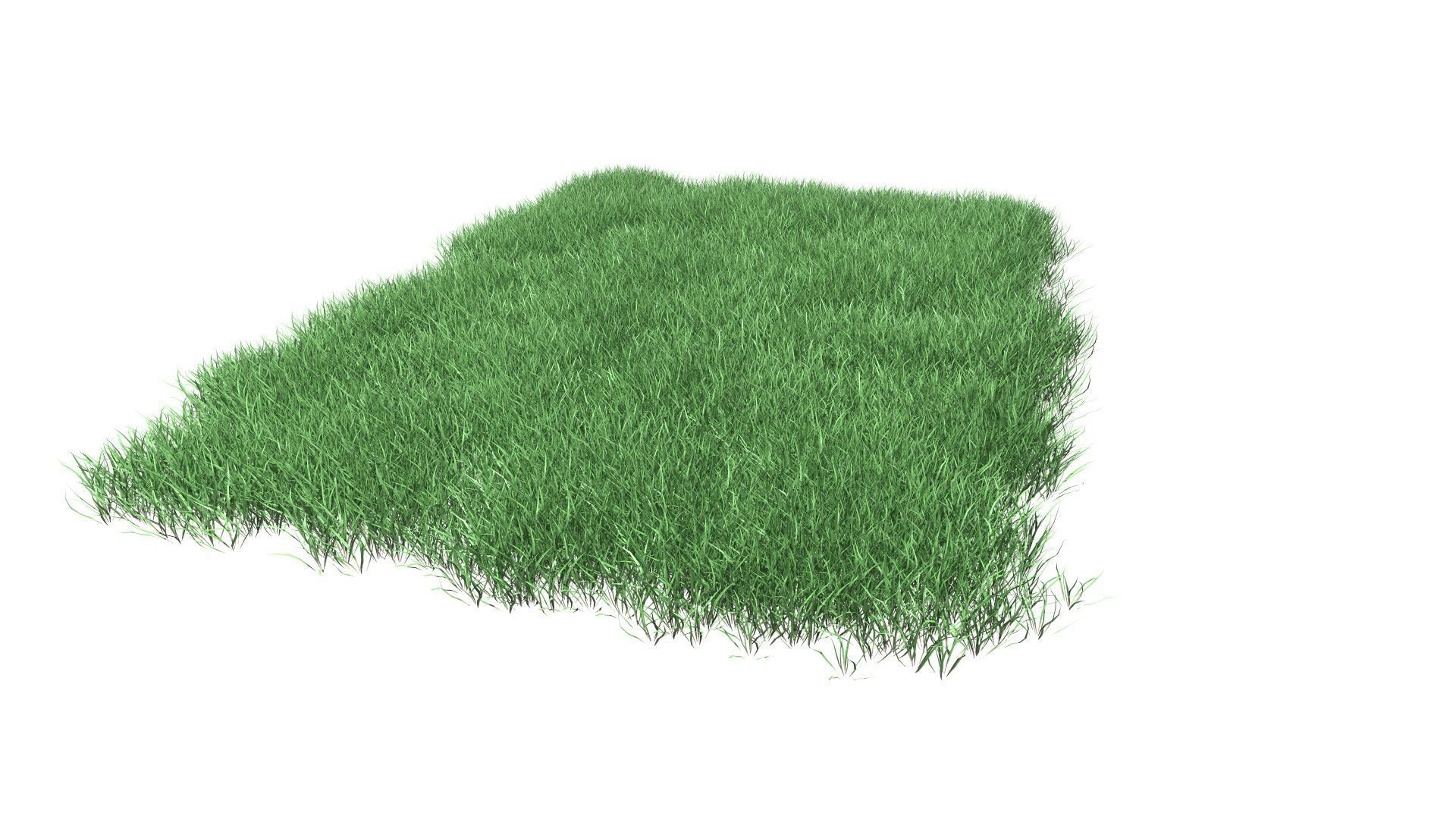 Lawn Grass Model for Exteriors 3D 3D model_54