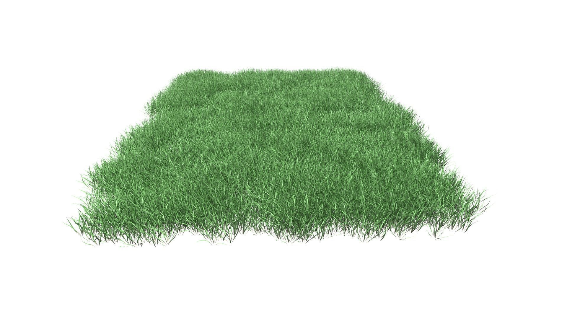 Lawn Grass Model for Exteriors 3D 3D model_78