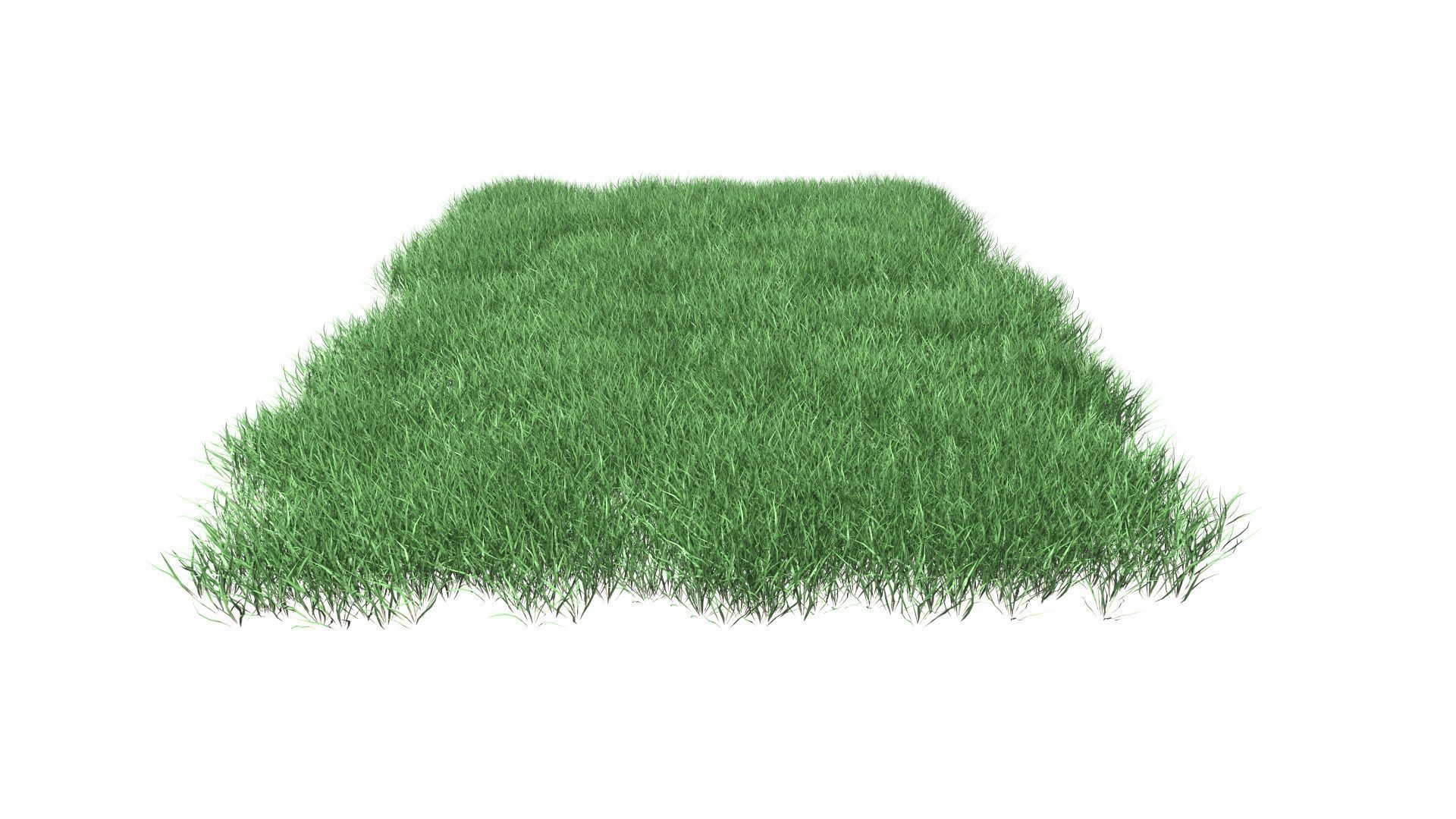 Lawn Grass Model for Exteriors 3D 3D model_75