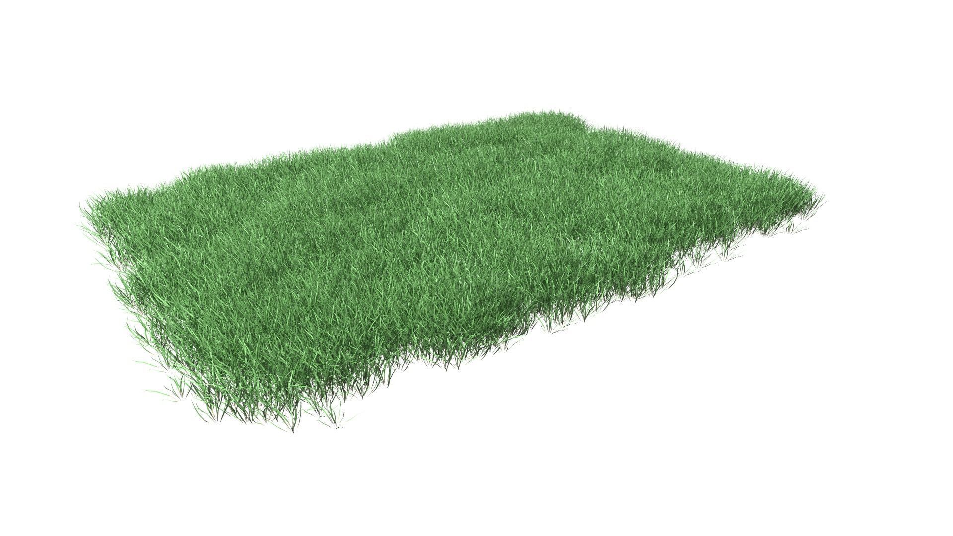Lawn Grass Model for Exteriors 3D 3D model_23