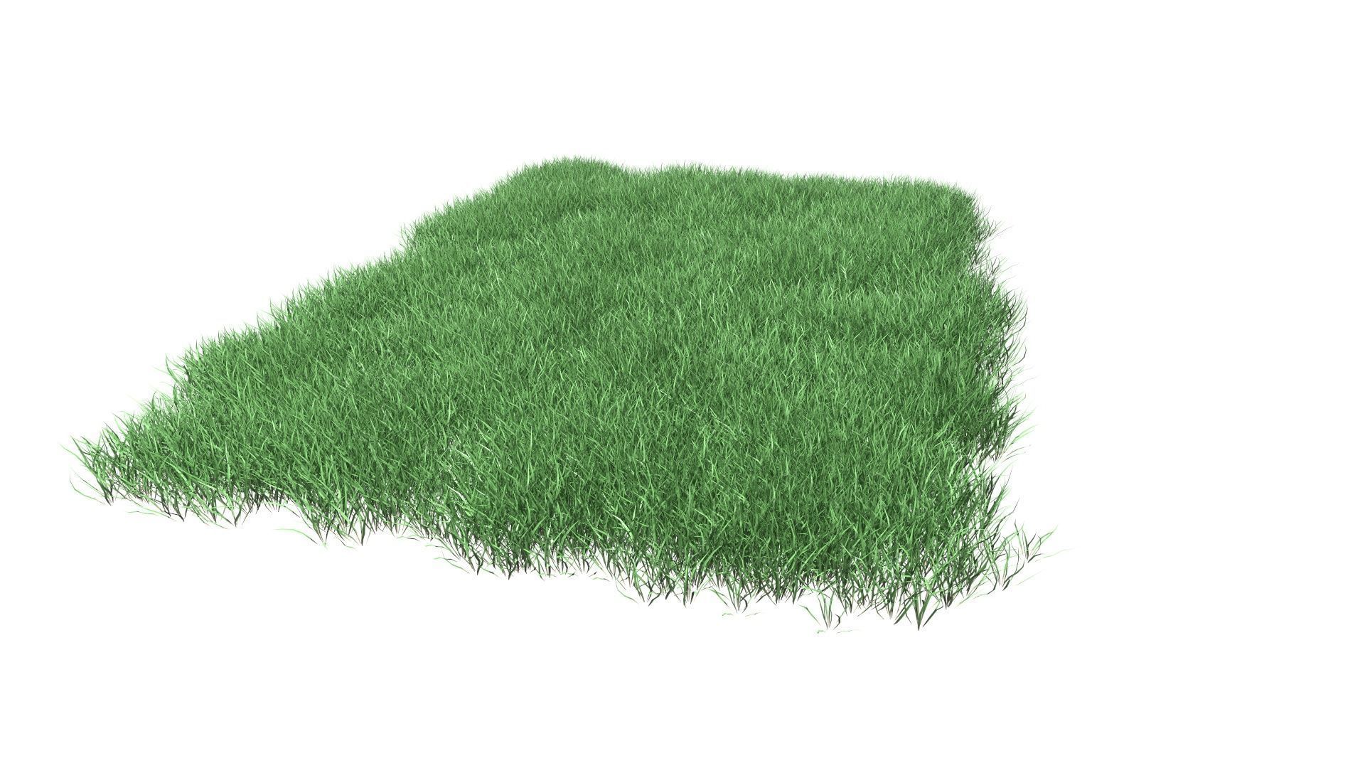 Lawn Grass Model for Exteriors 3D 3D model_56