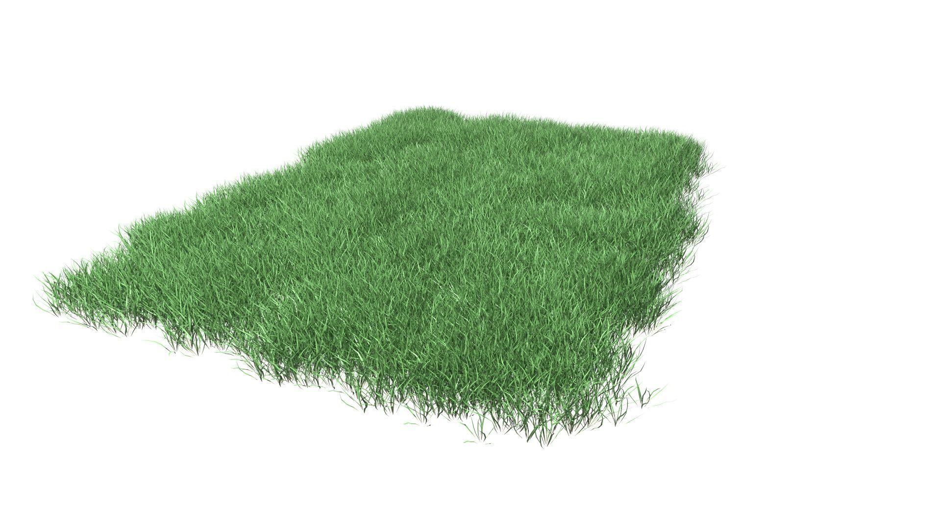 Lawn Grass Model for Exteriors 3D 3D model_49