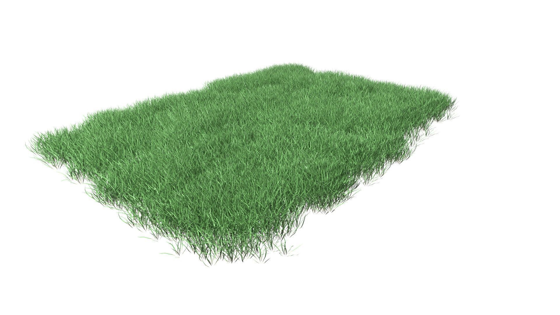 Lawn Grass Model for Exteriors 3D 3D model_35