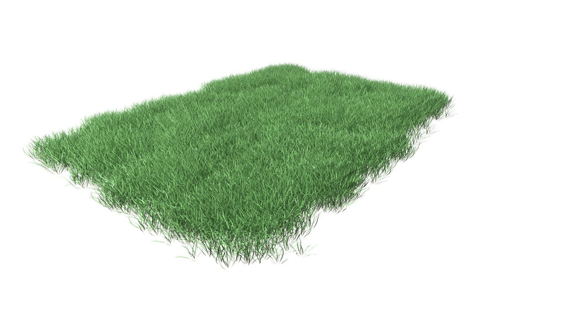 Lawn Grass Model for Exteriors 3D 3D model_37