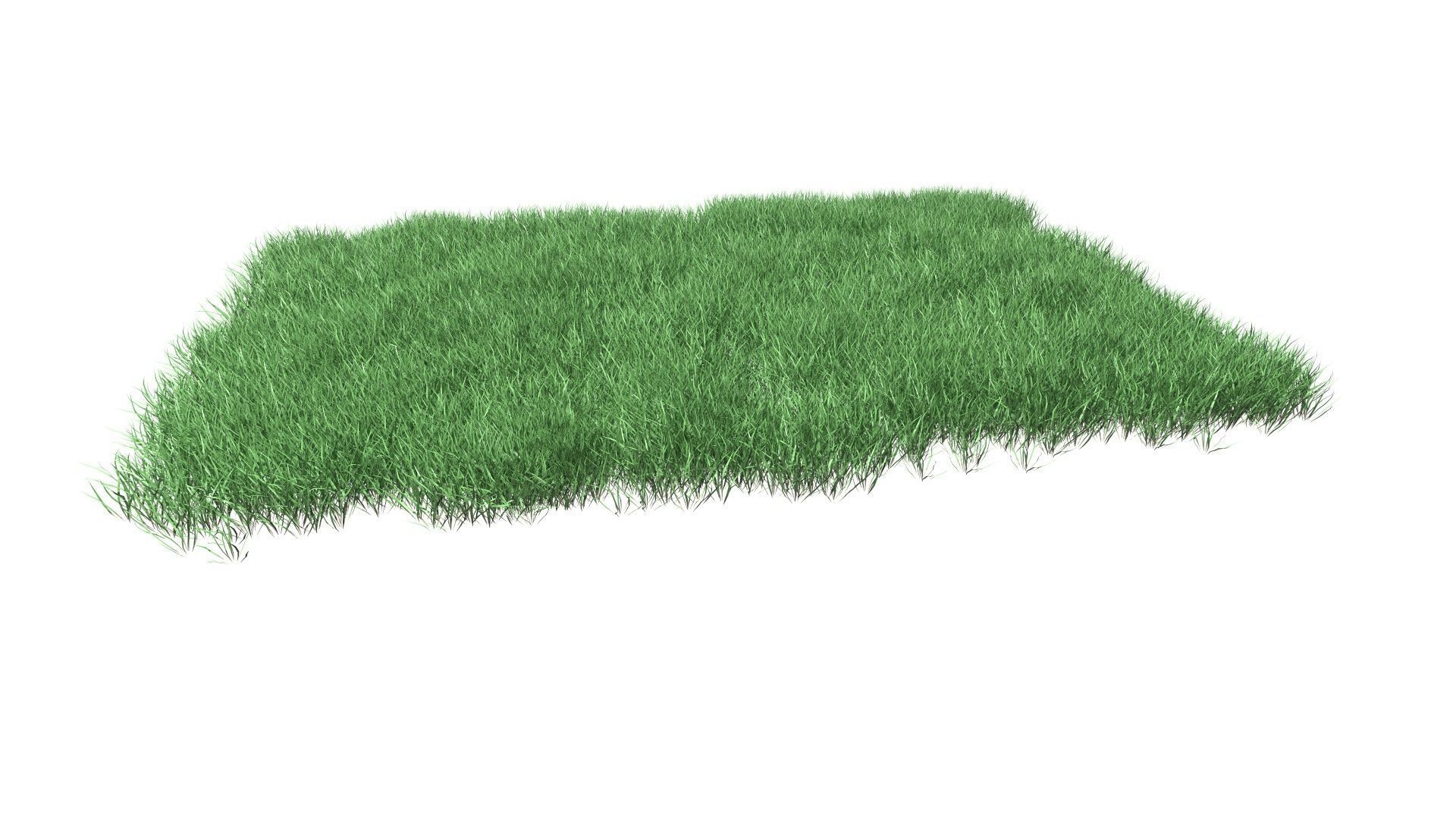 Lawn Grass Model for Exteriors 3D 3D model_3